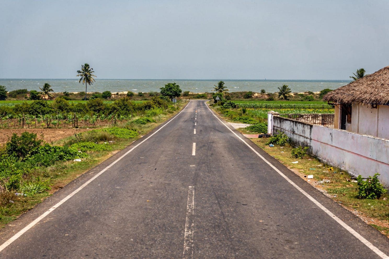 The road down to the coast at Kothapatnam, cultivated fields on one side and a thatched boundary wall on the other, the sea ahead.